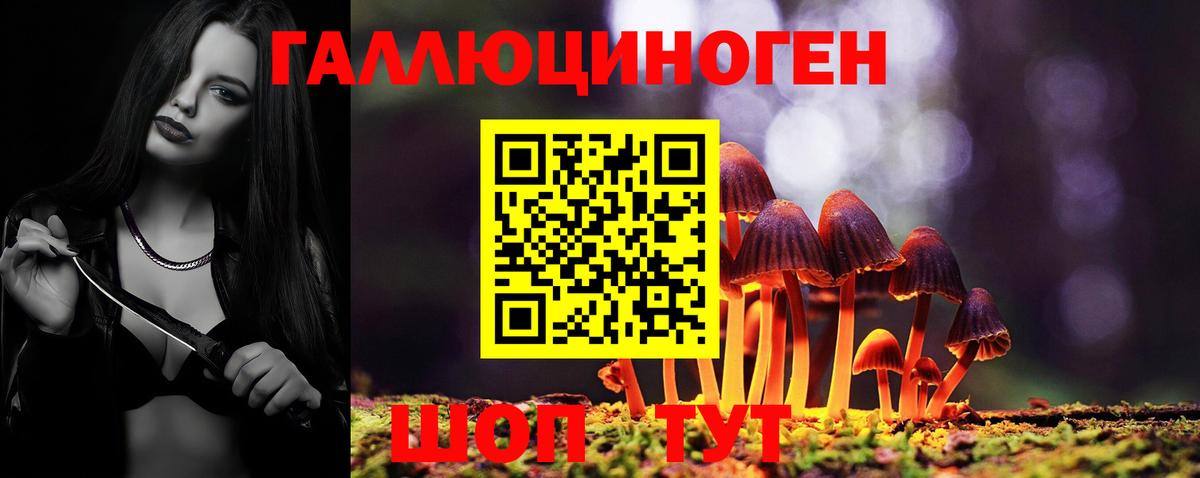 Галлюциногенные грибы Psilocybe Избербаш
