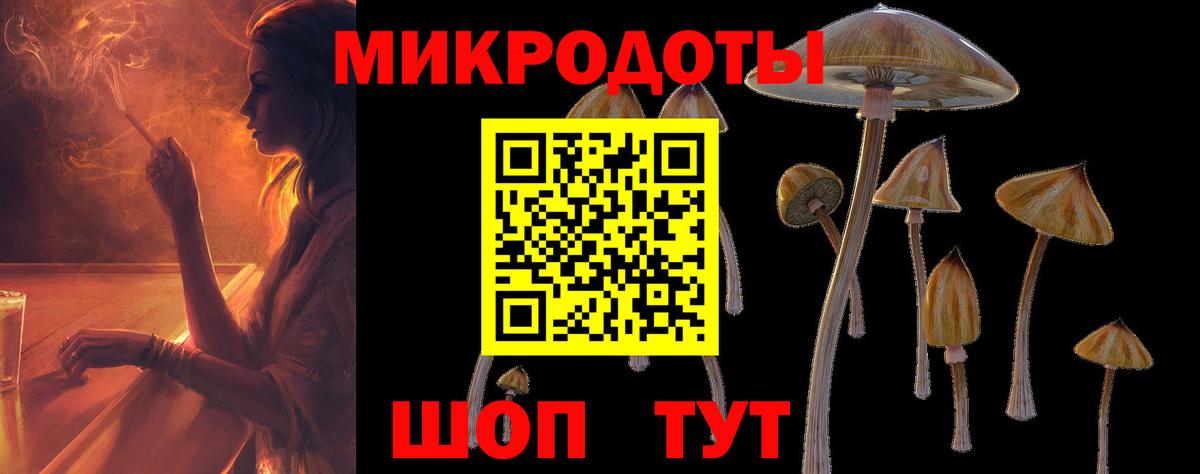 Псилоцибиновые грибы мицелий  хочу наркоту  Избербаш  Вход с VPN 